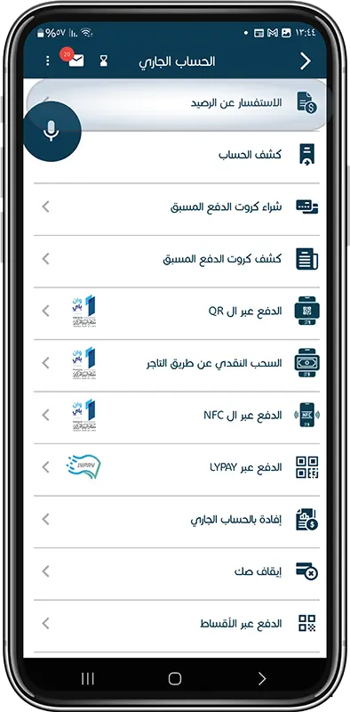 الاستفسار عن الرصيد خطوة 2